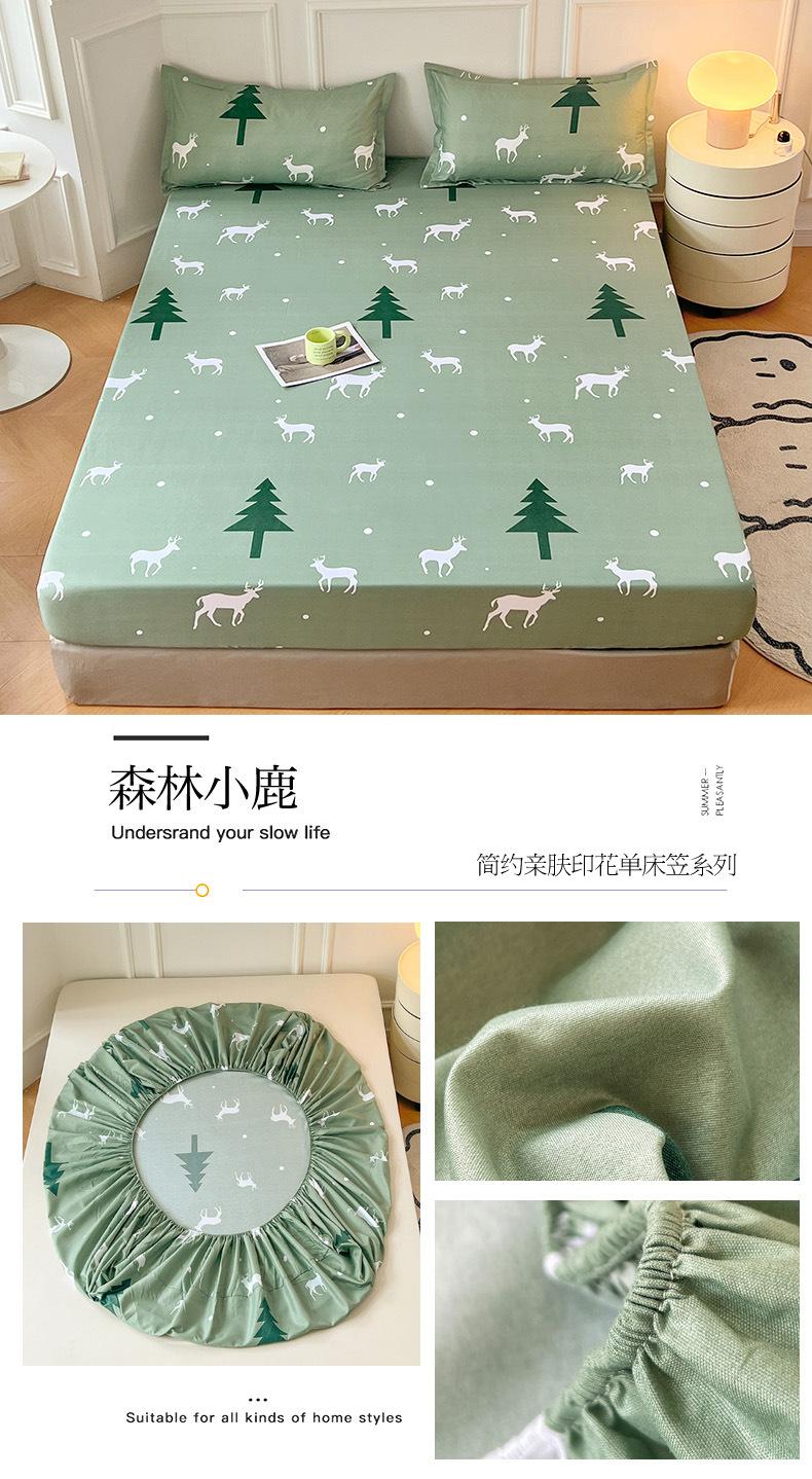 森林小鹿.jpg
