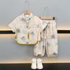 Traje Hanfu de Verano para Niños 2025 Nuevo Conjunto de Dos Piezas de Nuevo Estilo Chino para Niños Pequeños Traje Delgado de Verano Moderno