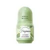 Desodorante de Bola Rodante con Esencia de Planta Fayankou Completo en Inglés Fragancia Refrescante Perfume de Bola Rodante Exportación Transfronteriza Venta al por Mayor