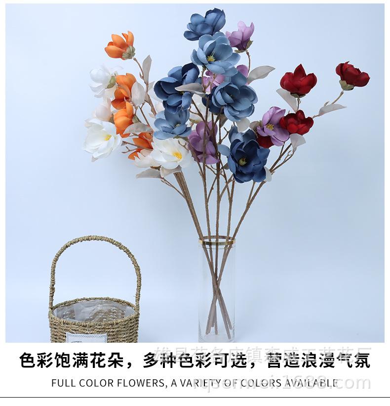 玉兰花_08.jpg