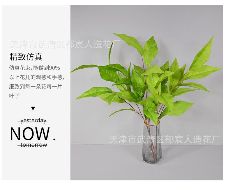 详情_08.png