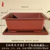 Vaso de Flores Longo para Casa Vaso Retangular para Suculentas Plantas Verdes Ficus Vasos para Bonsai Resina Respirável Imitação de Argila Roxa