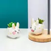 Vaso de cerâmica criativo com animal de desenho animado para planta suculenta, simples, moderno, para jardinagem, combinação fofa de coelho, planta em vaso mini
