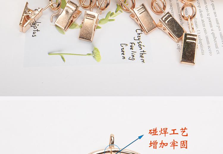 浅金色罗马圈描述_05