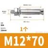 Parafuso de expansão, parafuso de expansão de aço inoxidável 304, parafuso de tubo de expansão 201/316 galvanizado M6M8M10M12M16