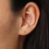 Pendientes de Acero Inoxidable con Forma de Rombo y Piedras de Nacimiento Doce Zirconia Regalo para el Día de la Madre Pendientes Mayorista