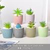 Macetas de Cerámica al por Mayor del Fabricante Macetas Nórdicas Simples para Suculentas Creativas Mini Transpirables Combinación de Plantas Verdes Suculentas en Maceta