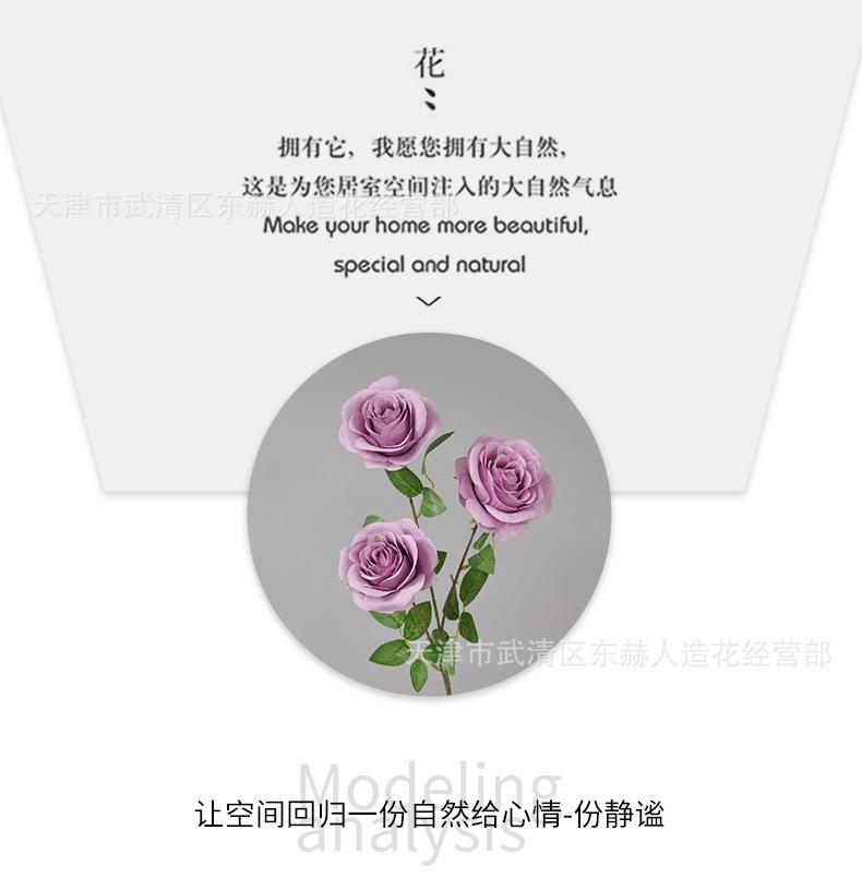 详情_05.png