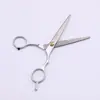 Suministro de Fábrica Tijeras Divididas Pintura Plateada Juego de Tijeras de Acero Inoxidable para Barbería Peluquería Tijeras de Barbería para el Hogar