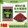 Cebo para Carpa y Carpa Cruciana para Pesca Salvaje, Cebo de Pesca, Pasta de Camarón, Cebo a Base de Arroz, Polvo de Lombriz Roja para Pesca de Peces Pequeños