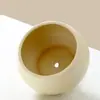 Maceta de Cerámica Simple para Uso Doméstico con Plato, Venta al por Mayor Transfronteriza Temu, Específicamente para Orquídeas Phalaenopsis y Plantas Suculentas