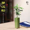 Bonsai de Pinheiro Arhat para Interior, Escritório, Mesa de Café, Sala de Chá, Mesa de Trabalho, Pequeno Bonsai, Mini Bonsai Divertido Estilo Chinês, Fácil de Cuidar