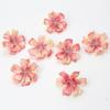 Accesorios de decoración, flor de ciruelo, bricolaje, material hecho a mano, flor artificial, flor de boda, flor de pared, ramillete, tocado, flor decorativa, crisantemo
