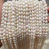 Jingde Jewelry Perlas de Agua Dulce Naturales Cuentas Sueltas Colección de Cuentas Accesorios para Joyería DIY Fabricante En Stock Venta al por Mayor