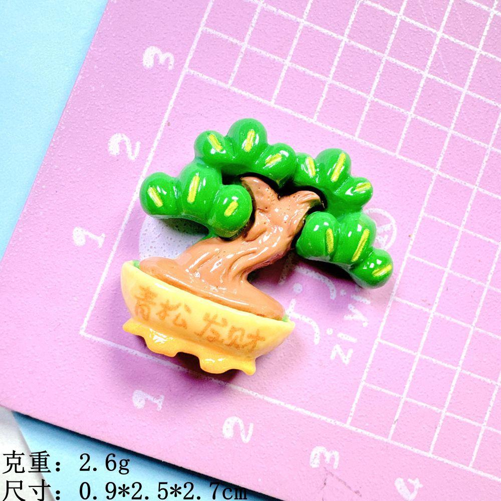 6#青松发材---盆栽