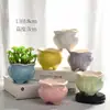 Vaso de Flor Carnuda Cerâmica Colorido Esférico Minimalista Nórdico Esmalte de Seis Cores Pequeno Decorativo para Casa Vaso de Mudas