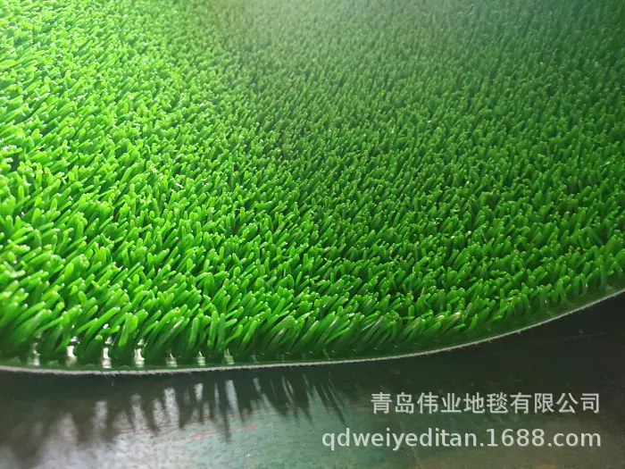 IMG20230220111407.jpg