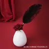 Dr. Varita de Pluma Suave Sheng En para Jugar con Tubo de Metal Juguete Sexual para Adultos Juguete de Entrenamiento Sm