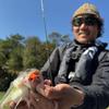 Iscas de Pesca Daiwa 25 Tipos Parabellum Worm Vibratório Estilo Iscas Macias
