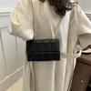 Bolsa de moda artística francesa para mulheres, nova moda 2024, combina com todas as cores, corrente de celebridades da internet, pequena bolsa quadrada, bolsa de ombro mensageiro