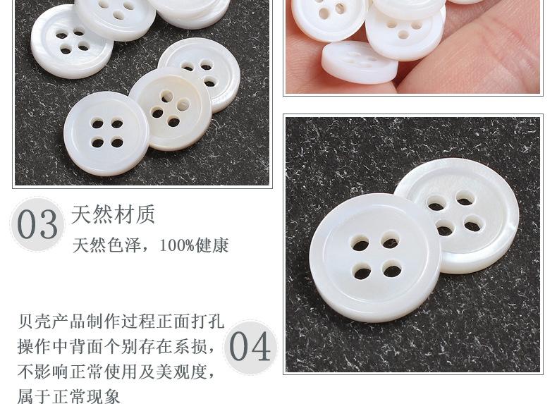 四眼珍珠贝_05.jpg