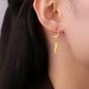 Europa y Estados Unidos suministro mayorista transfronterizo de colgante de forma irregular, joyería de regalo de dama chili, aretes de acero inoxidable