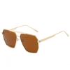 Gafas de Sol de Moda Europea y Americana de Doble Puente Polarizadas de Venta Caliente en Amazon para Mujeres Venta al por Mayor