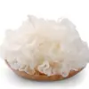 Tremella Fuciformis Seca de Gutian, Fácil de Cozinhar, Macia e Glutinosa, Atacado