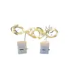 Fio de Luz Colorido com 3 Velocidades de Pisca Fio de Cobre Fio de Luz para Decoração de Natal Dia dos Namorados Caixa de Presente com Flores Luz de Ambiente