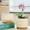 Maceta de cerámica de una pieza para el cabello, extragrande, ligera, de lujo, estilo Ins, de alta calidad, para el hogar, con flores carnosas de Phalaenopsis.
