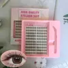 Set de Pestañas Postizas Transfronterizo, Gran Capacidad, Pestañas Postizas de Cola de Pez Hada, Cómodas de Aplicar, Ligeras, Largas y Suaves