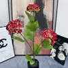 Flores Artificiais Vermelhas, Flores Artificiais Bordô, Flores Artificiais Phalaenopsis no Atacado, Flores de Casamento, Flores de Chão para Casamento