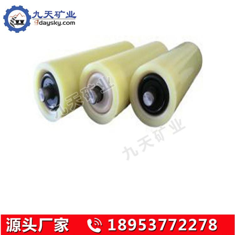 高分子尼龙托辊2.jpg