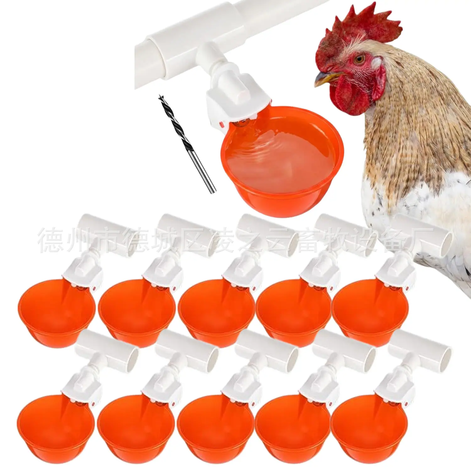 10