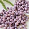 Raiz de Bodhi Natural Gato Garra Esculpida Contas de Bodhi, Pulseira de Bodhi de Jade Branco Finamente Esculpido Feita à Mão Acessórios DIY
