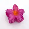 Presilha de Cabelo Flor de Frangipani 8cm para Mulheres, Estilo Celebridade da Internet, Prendedor de Garra para Rabo de Cavalo Semi-Preso, Elegante Presilha de Tubarão, Piranha Super Fada