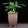 Vaso de flor de orquídea de areia roxa Yixing queima em alta temperatura queima de madeira quadrado retrô tubo de sinalização alto vaso para bonsai de mesa monte antigo atacado