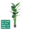 Plantación verde de simulación, ave del paraíso, plátano viajero, girasol suelto, planta de simulación nórdica grande, maceta para sala de estar, decoración de plantas falsas