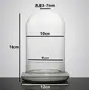 Garrafa Ecológica para Micro-Paisagismo com Flores Eternas e Tampa de Vidro, Kit de Materiais DIY com Musgo e Suculentas para Fazer Tampa de Proteção contra Poeira para Recipientes