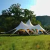 Toldo para Exteriores, Lona Impermeable y Protector Solar para Acampar, Exposiciones, Carpa Pulpo Loto de Pico Único/Doble/Triple Personalización