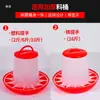 Balde de Comida para Frango, Comedouro para Frango, Alimentador para Pintinhos, Balde de Ração, Bule de Água para Frango, Dispensador Automático de Água para Frangos Beberem Água