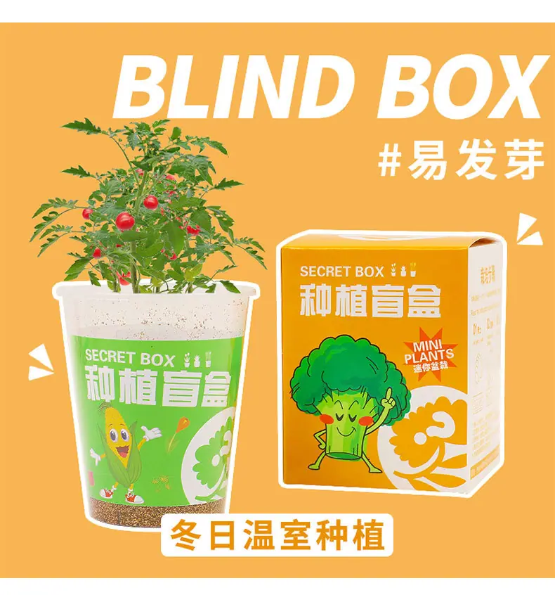 详情_08.jpg
