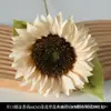 Flores Artificiais Cor de Champanhe para Decoração de Casamento, Venda Direta de Flores Artificiais de Fabricantes de Tianjin, Materiais Florais Suaves para Decoração Hospedagem