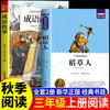 Lectura Feliz en el Tiempo Tercer Grado Barra de Lectura Feliz El Espantapájaros Lectura Obligatoria de Tercer Grado Libro Extracurricular No Pinyin Historia de Modismos