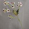 Não se esqueça da flor artificial Daisy crisântemo selvagem lã núcleo atacado no exterior modelo de casa nórdica decoração de quarto foto adereços
