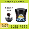 Taihu Merrill Lynch mermelada de puré de piña barril 1.3KG tienda de postres especial materias primas de fábrica venta directa puré de frutas