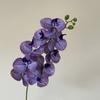 Filme de Impressão 3D Phalaenopsis 9 Cabeças Flor Artificial com Toque de Mão Flor Falsa Flor de Casamento de Alta Qualidade Arranjo de Flores Caixa de Presente Macia