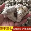 Venta al por mayor de Panax Notoginseng Liofilizado de Wenshan, Yunnan, Origen Panax Notoginseng Liofilizado de 20 Cabezas, 30 Cabezas, 40 Cabezas, 60 Cabezas