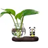 Gatito pescando, panda, rana, gato siamés, planta pothos, jarrón hidropónico, adorno de escritorio, decoración de escritorio de oficina