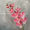 Decoración de Mesa Escandinava de Falenopsis de 9 Cabezas Impresa en 3D Película Floral de Boda Flor Artificial de Falenopsis Accesorios para Fotografía
